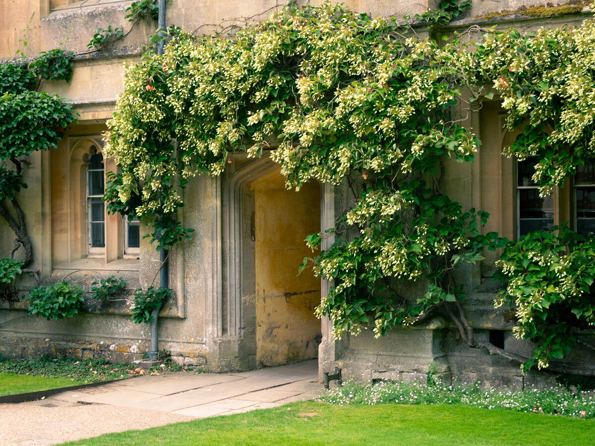 Oxford Ext-Balcony