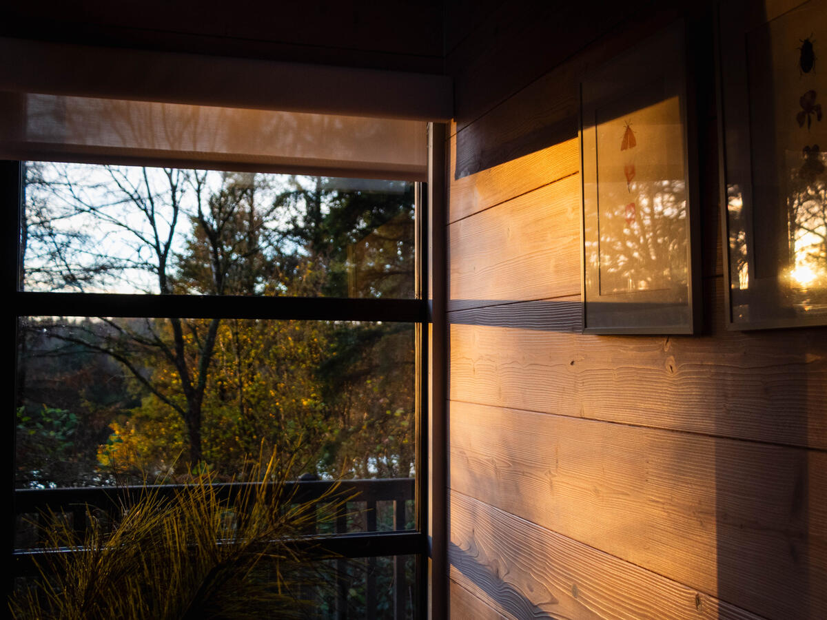Cabu Cabin - Int Cabu Cabin - Int