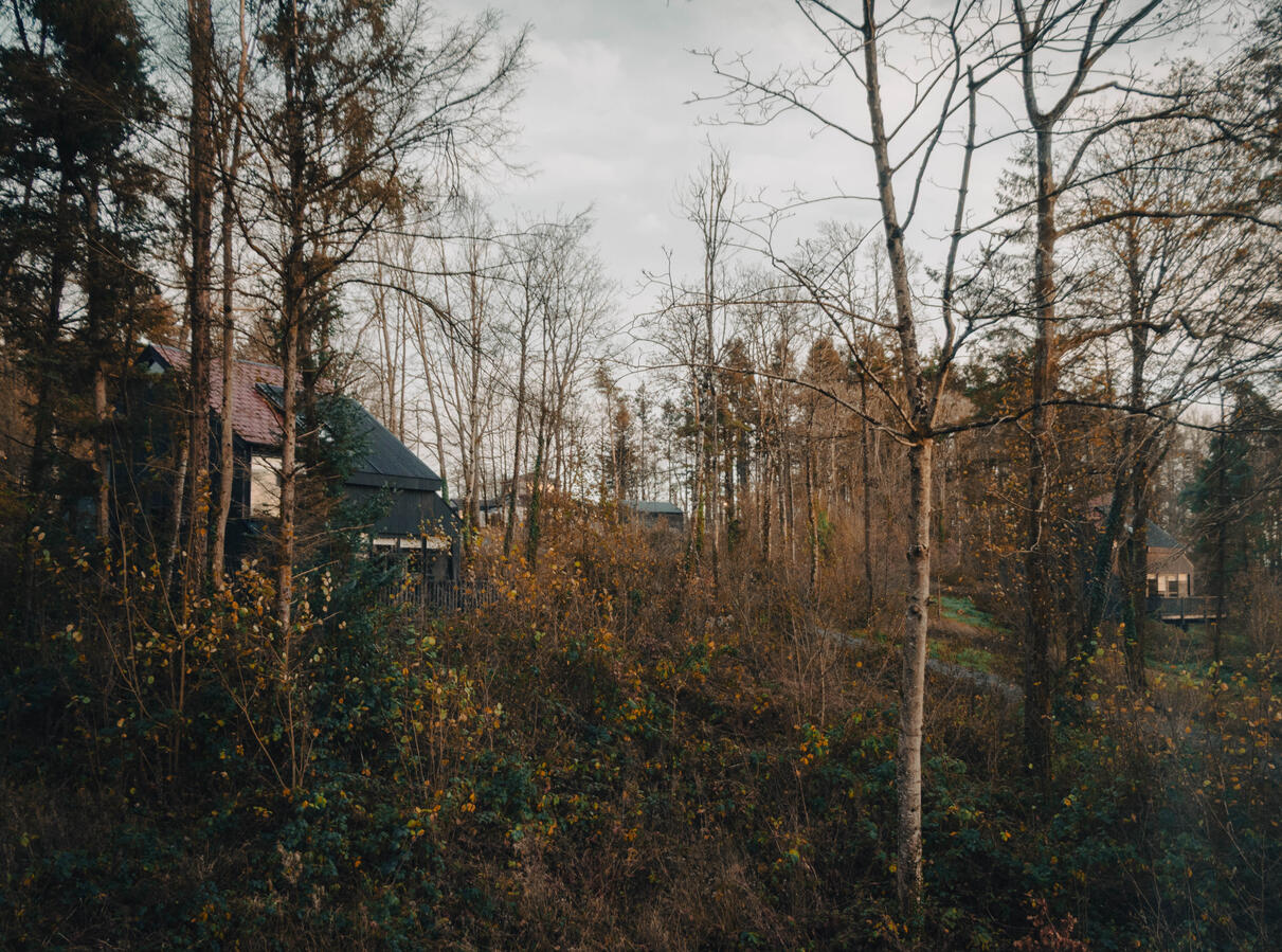 Cabu Cabins
